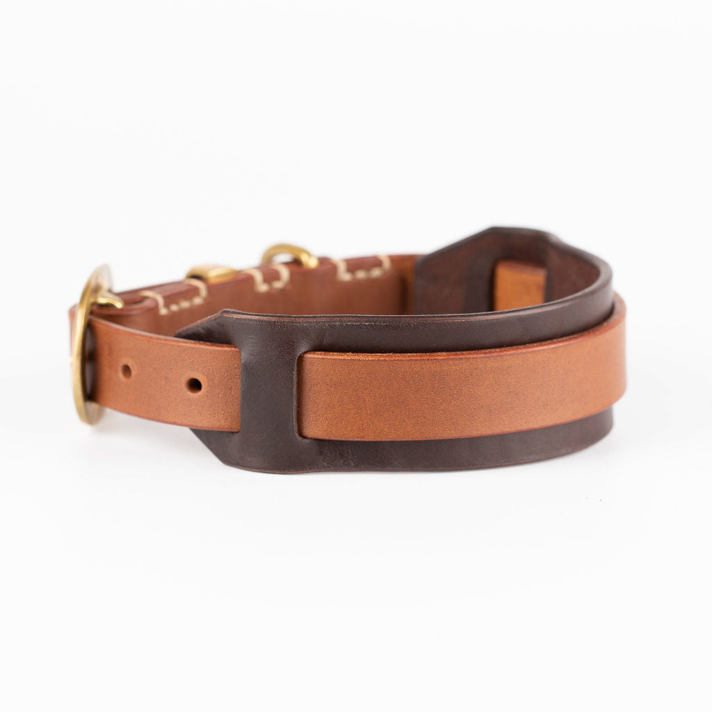 Trendy dog outlet collars