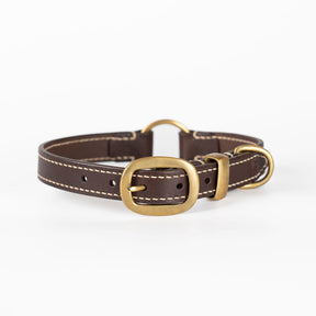 Ralph Dog Collar | Best Dog Collar | Caniche Collars