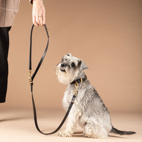 Leather Dog Leash | Adjustable Dog Lead | Caniche Collars