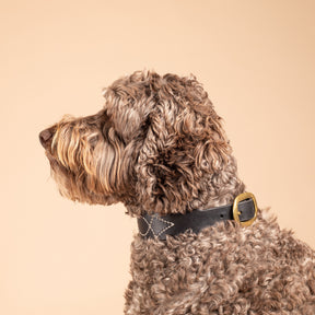 Leather Dog Collars Australia | Rosie Leather Collar | Caniche Collars