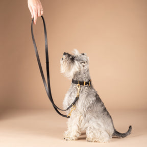 Leather Dog Leash | Adjustable Dog Lead | Caniche Collars