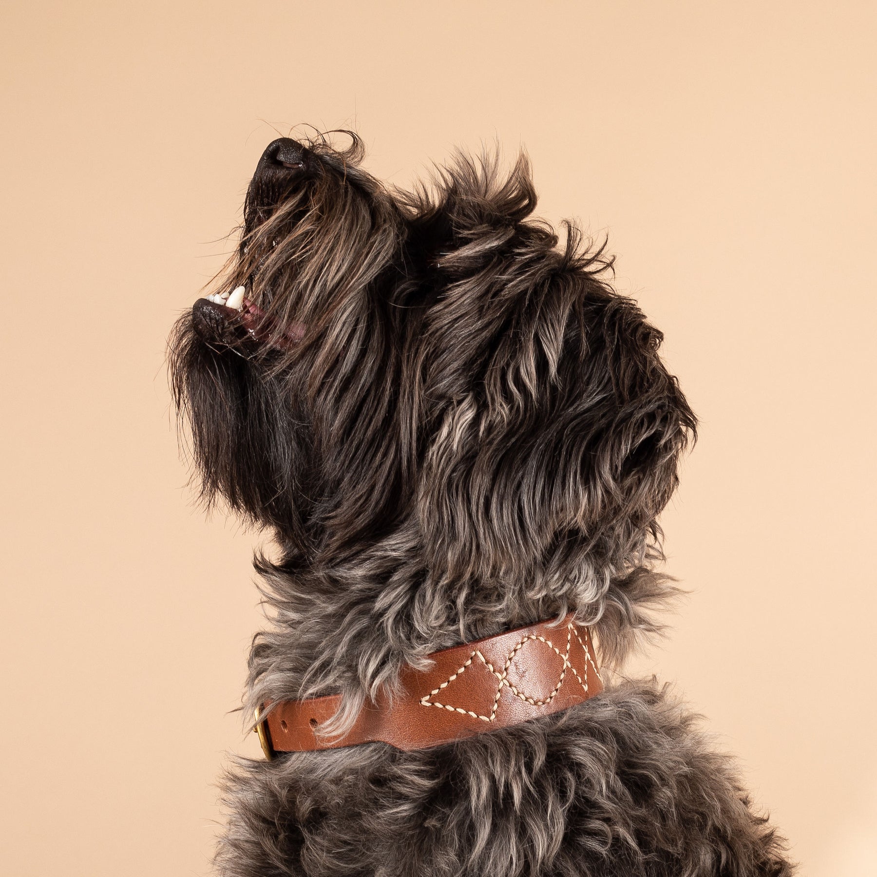 Handmade Dog Collar | Comfortable Dog Collar | Caniche Collars