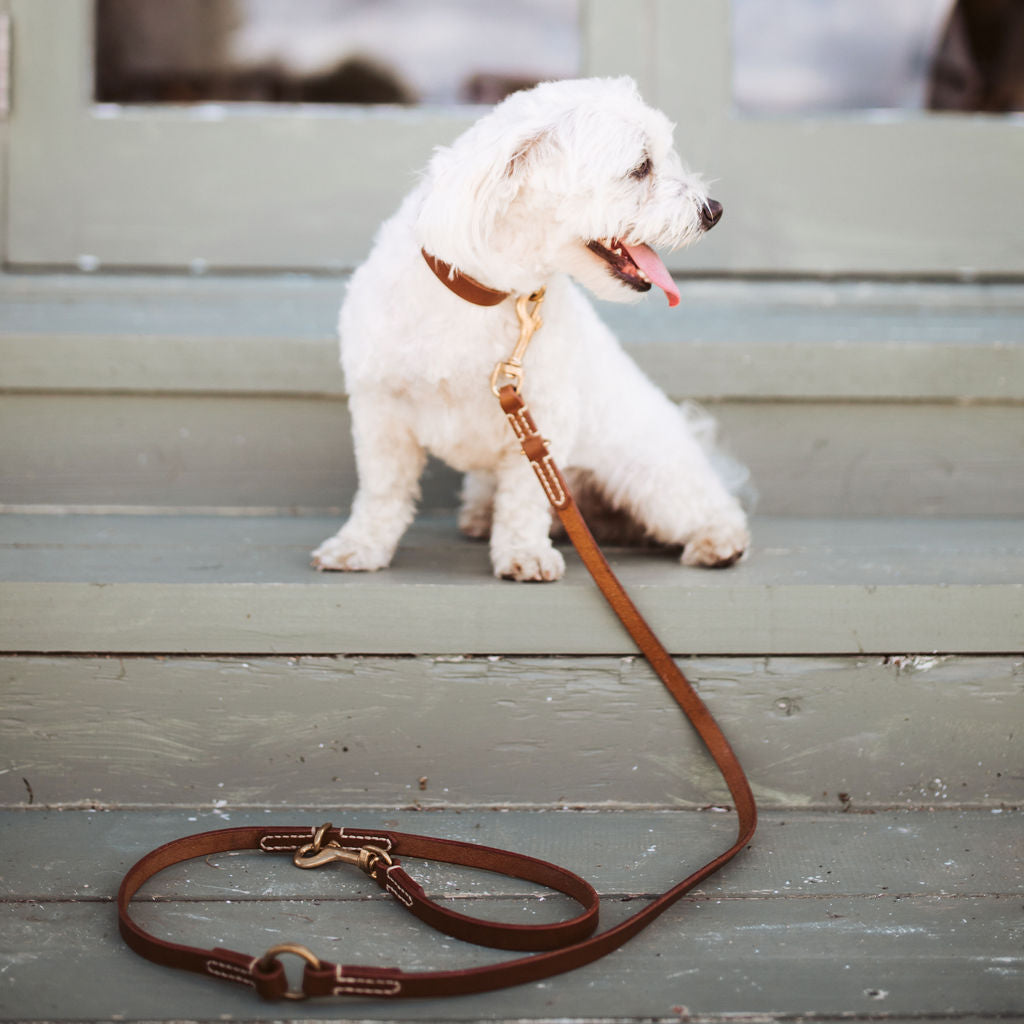 Leather Dog Leash | Adjustable Dog Lead | Caniche Collars