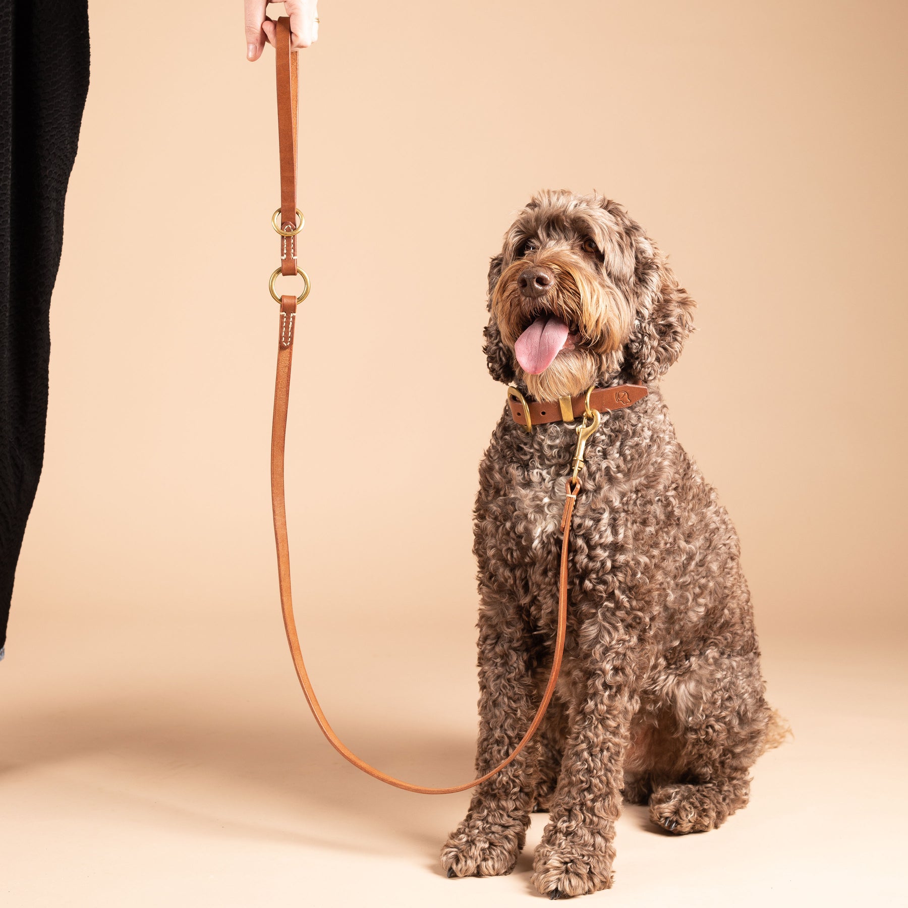 Leather Dog Lead | Handmade Dog Leash | Caniche Collars