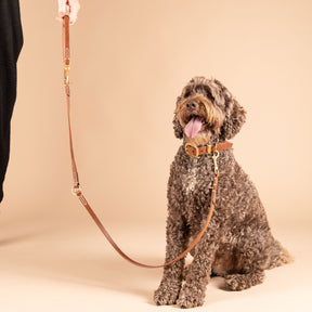 Leather Dog Leash | Adjustable Dog Lead | Caniche Collars