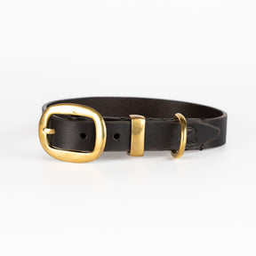 Leather Dog Collars New Zealand | Jax Dog Collars | Caniche Collars