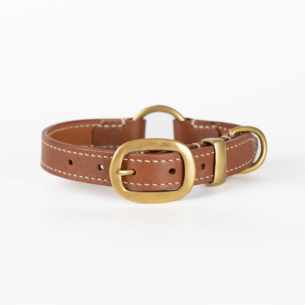 Leather Dog Collars | Leather Ralph Collar | Caniche Collars