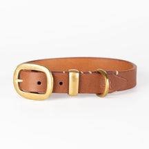 Leather Dog Collars New Zealand | Jax Dog Collars | Caniche Collars