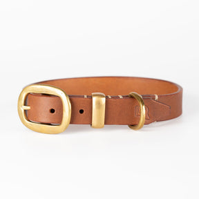 Leather Dog Collars New Zealand | Jax Dog Collars | Caniche Collars