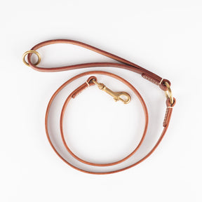 Leather Dog Lead | Handmade Dog Leash | Caniche Collars